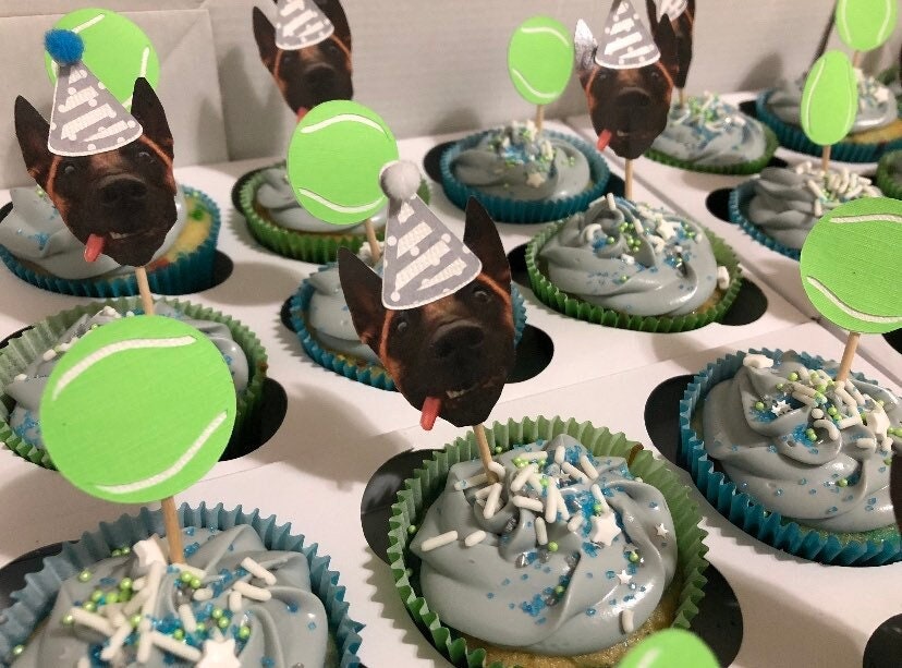 Custom Cupcake Toppers - Personalized Photo - Pet - Birthday Hat - Face - Cake
